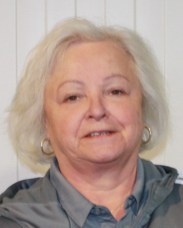 Brigitte Schönleitner