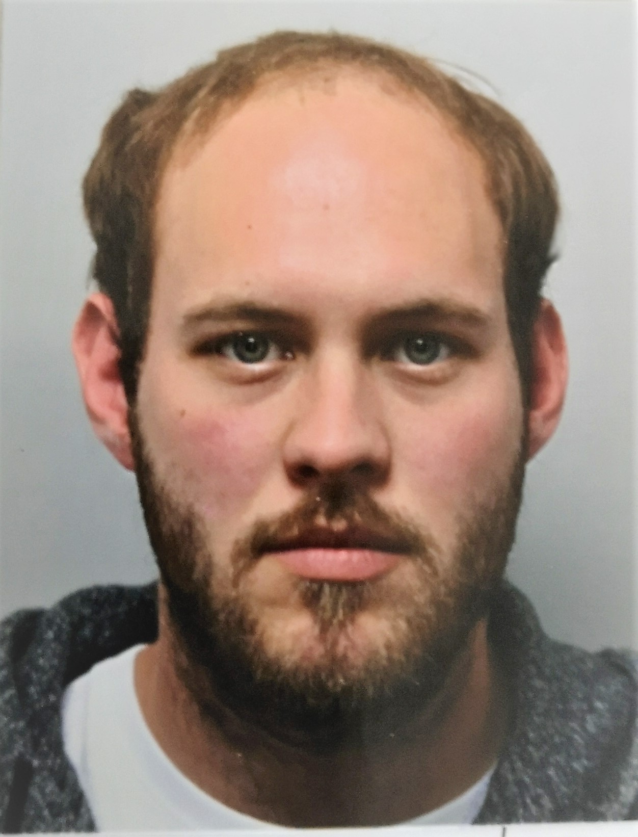 Dominik Schmidhammer